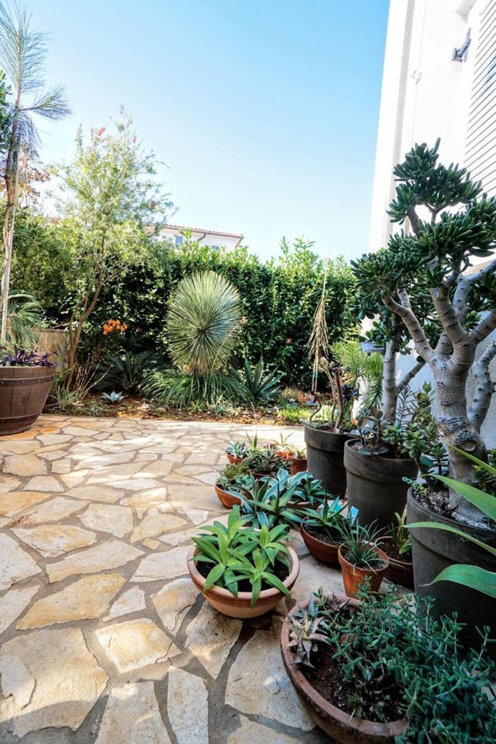 זמברטיה Apartment Vlado מראה חיצוני תמונה